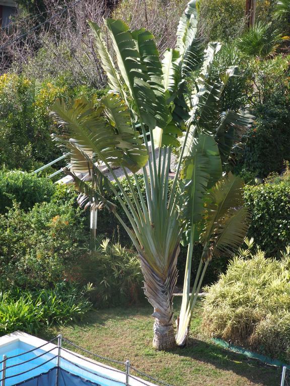 מנטון Appartement Au Chateau Vallaya מראה חיצוני תמונה